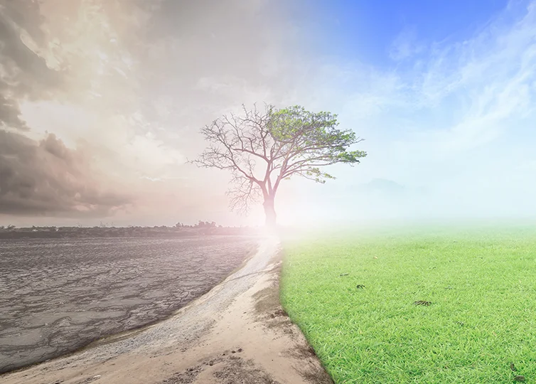 Environmental Concerns